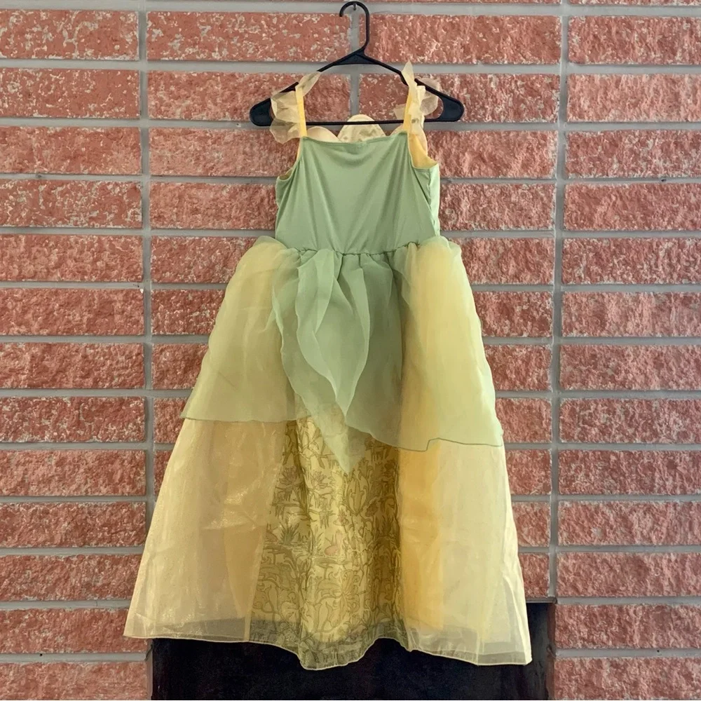 Disney princess dress